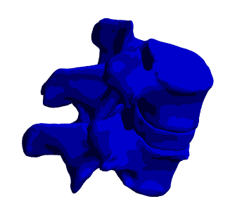 Lumbar Spine